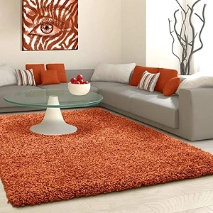 rust color carpet