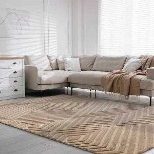 beige carpet for living room (1)
