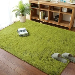 green color carpet (1)