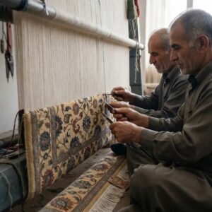 jaunty carpets: hand knotted carpet